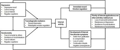 Depression and Social Anxiety Predict Internet Use Disorder Symptoms in Children and Adolescents at 12-Month Follow-Up: Results From a Longitudinal Study